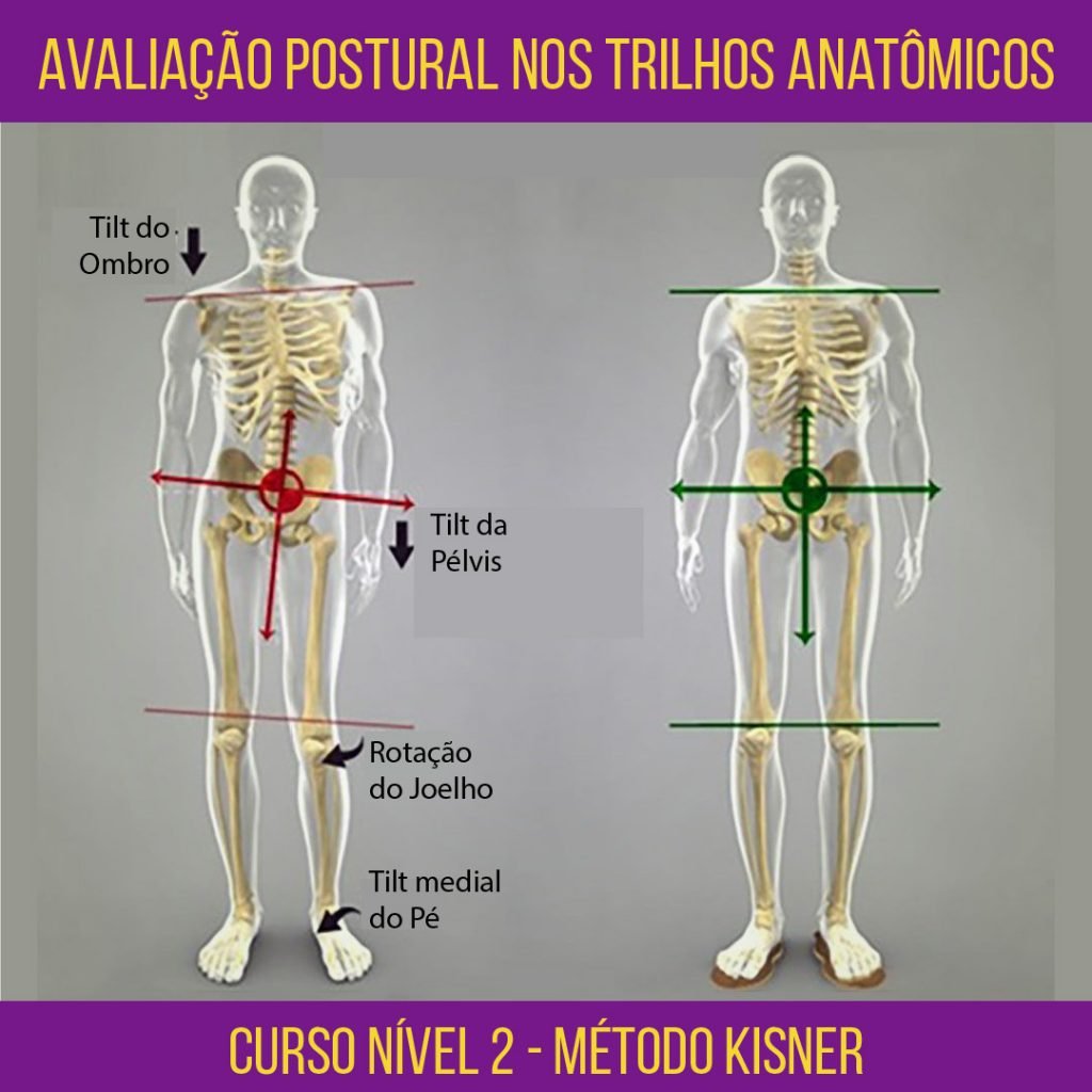 Pontos Anatomicos Para Avalia O Fisica